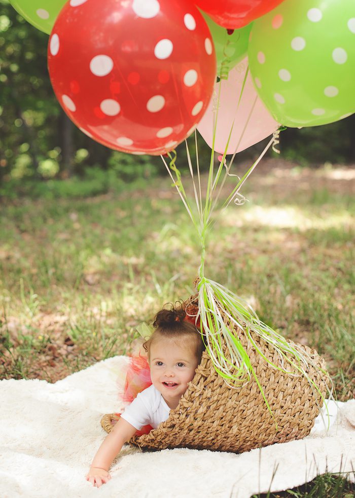 professional -one -year -old -portraits -mooresville -nc