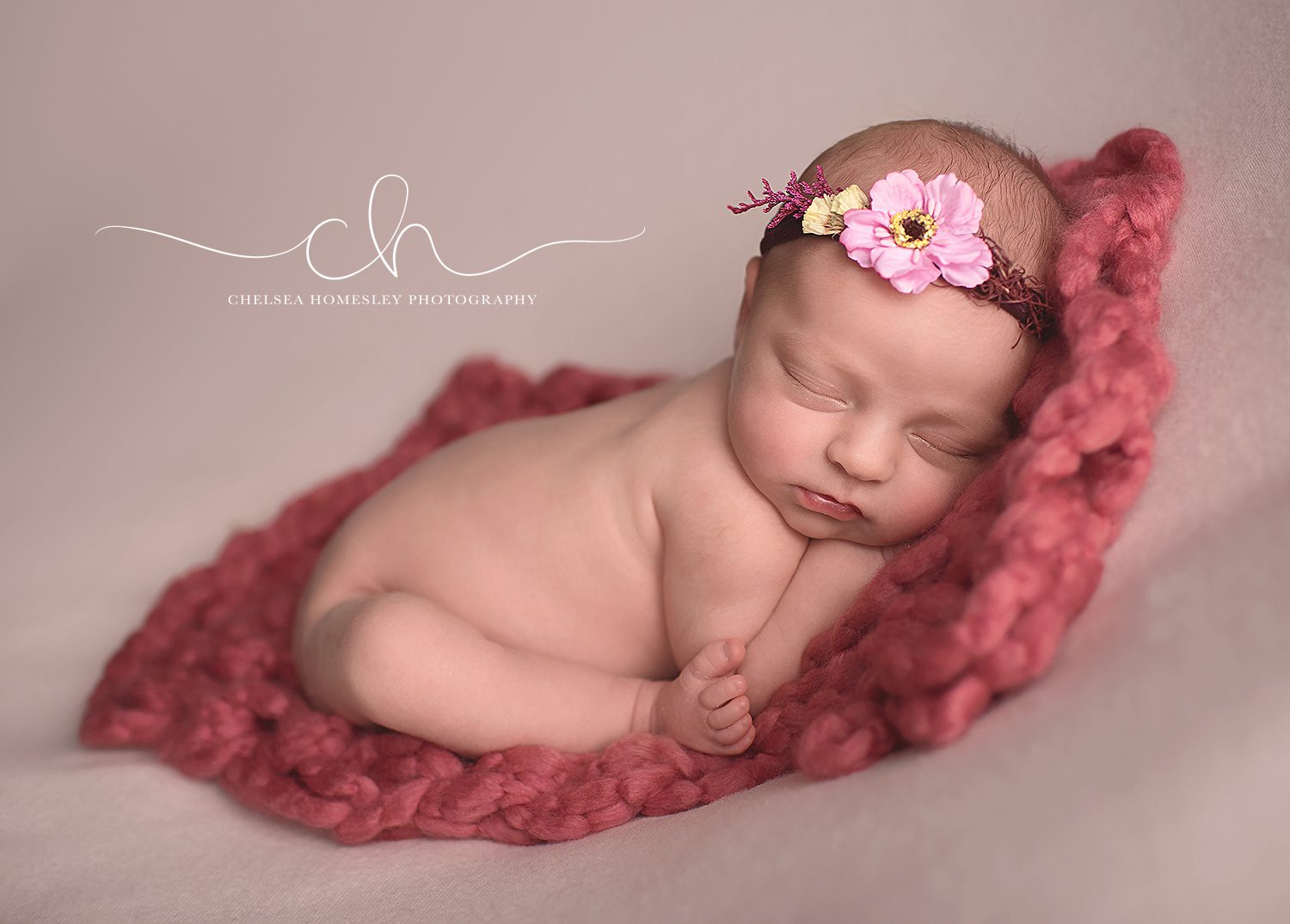 professional -newborn -photographer -belmont -nc