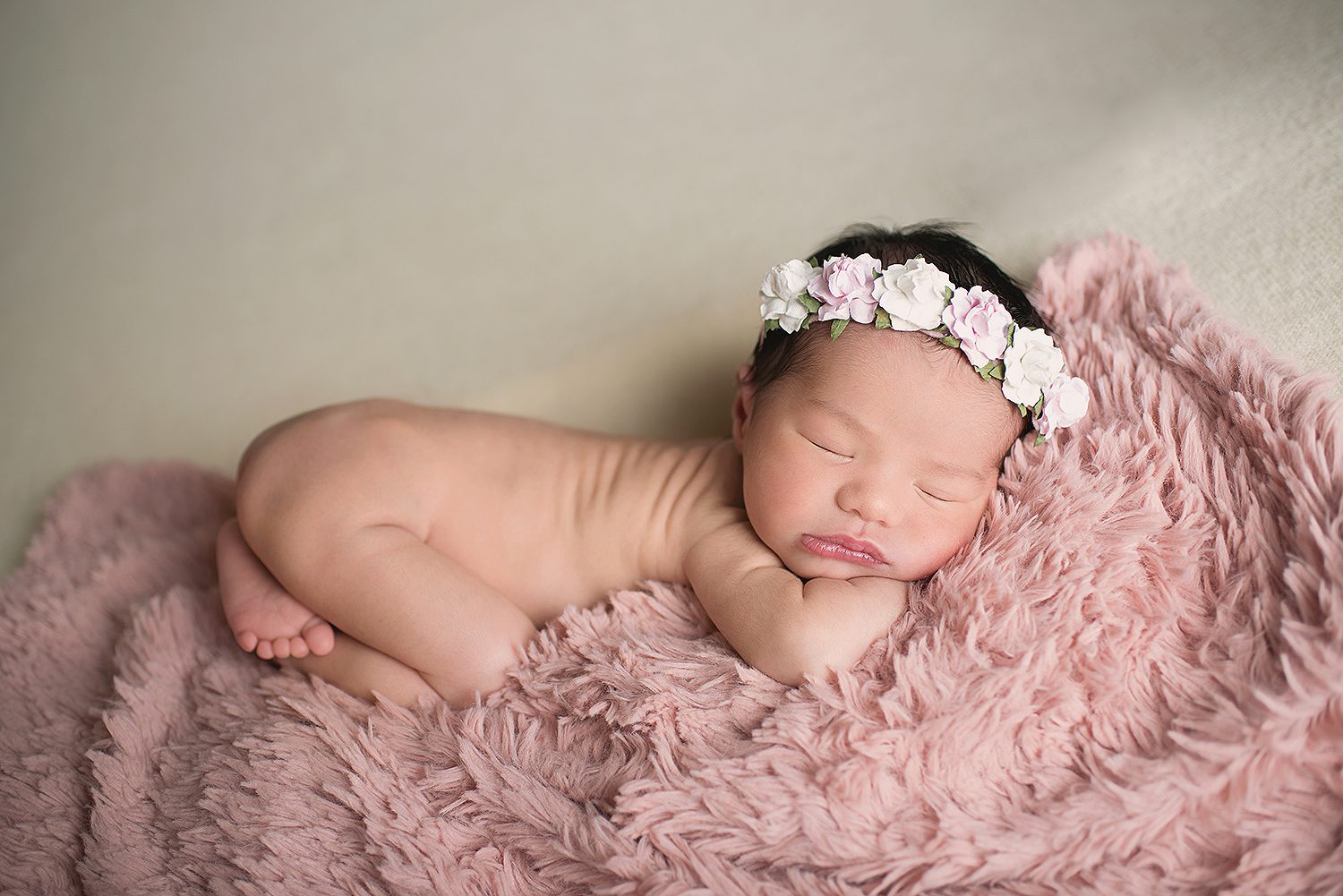 professional -newborn -photographer -charlotte -nc