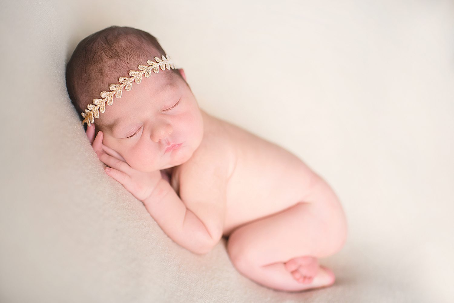 charlotte -professional -newborn -photography