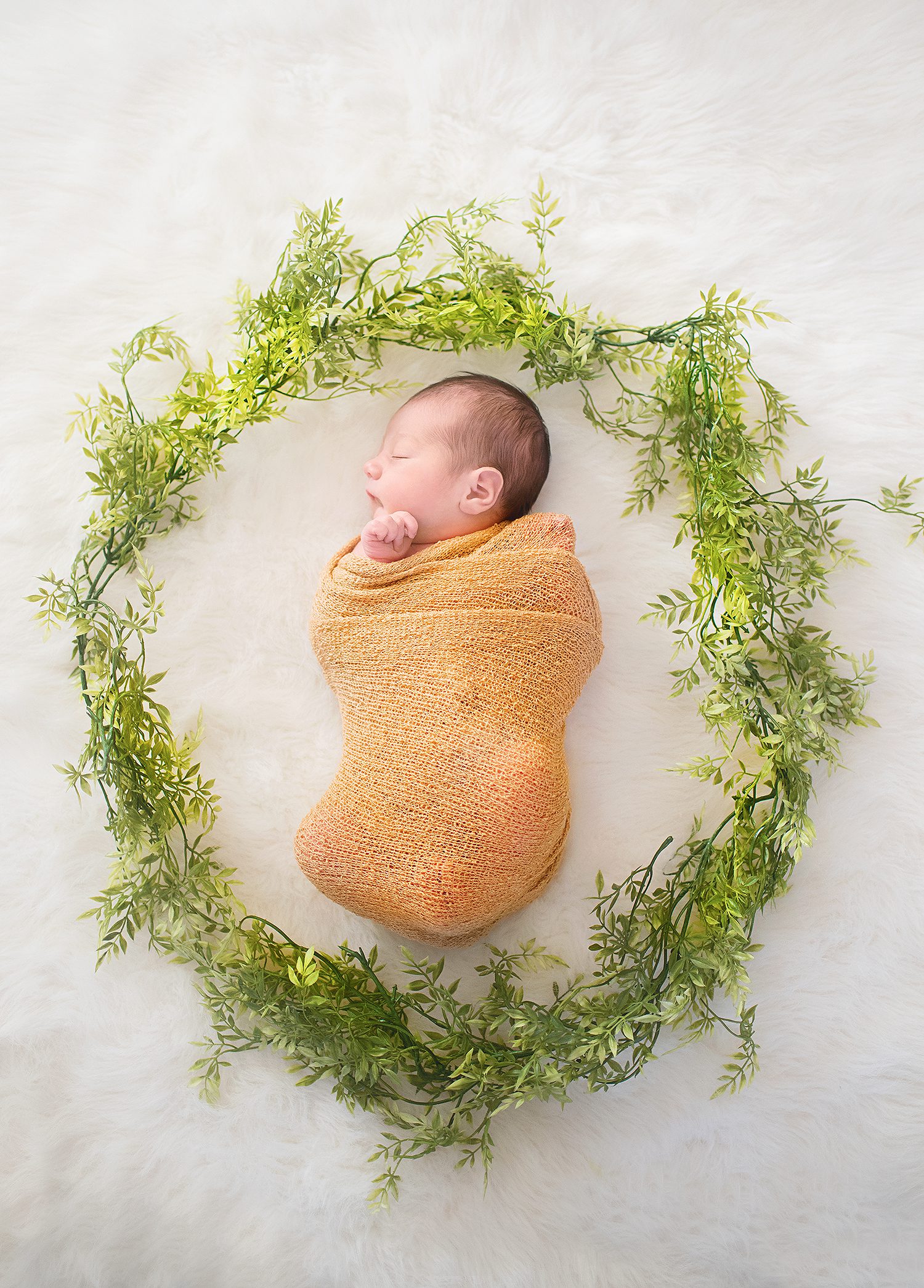 charlotte -professional -newborn -photography