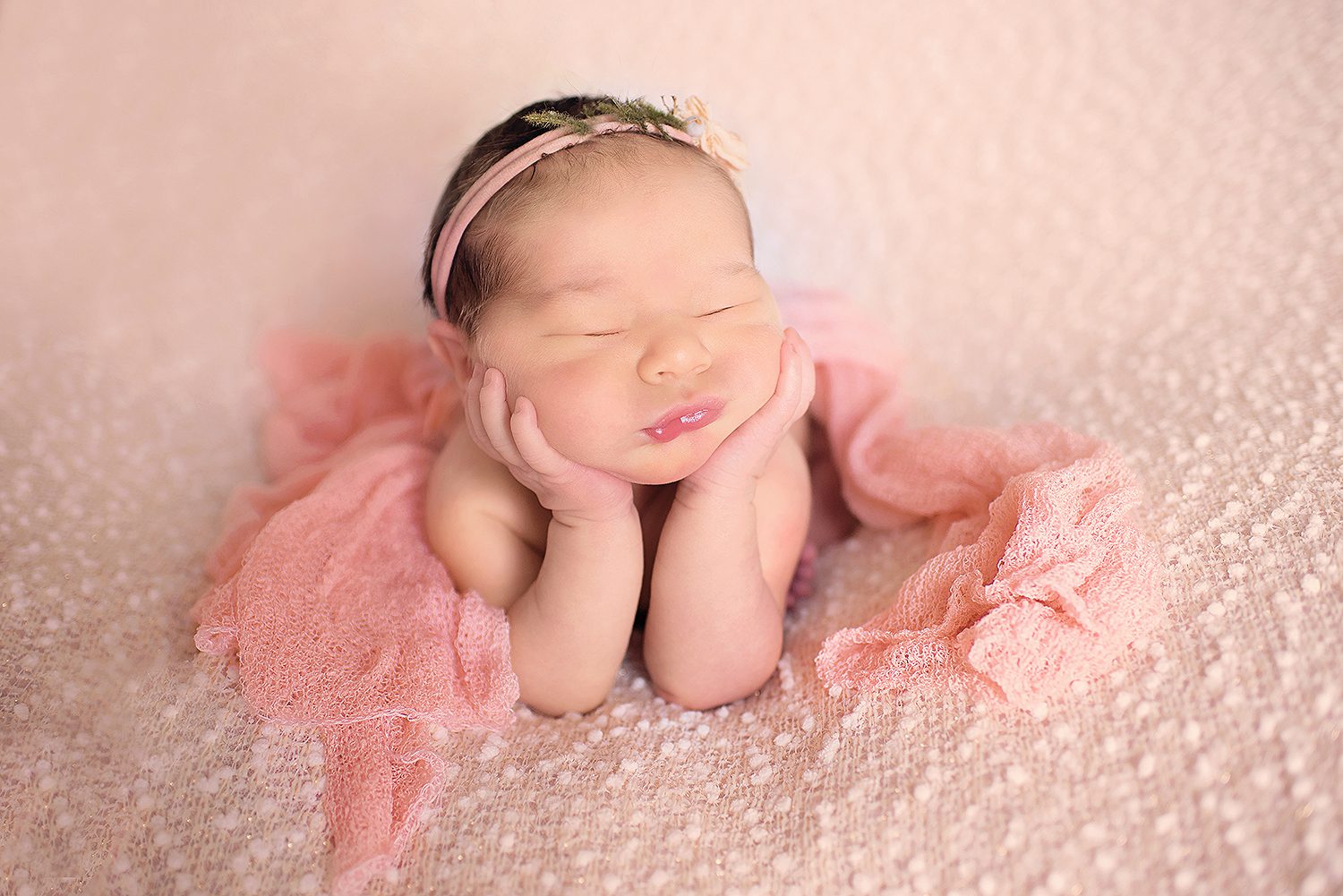 newborn -photographer -charlotte -nc