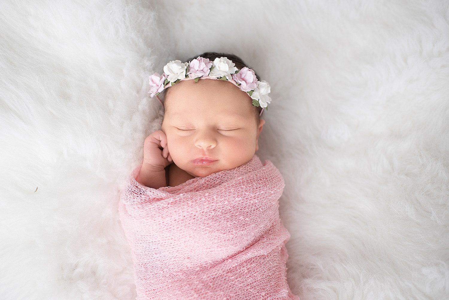 professional -charlotte -newborn -photographer