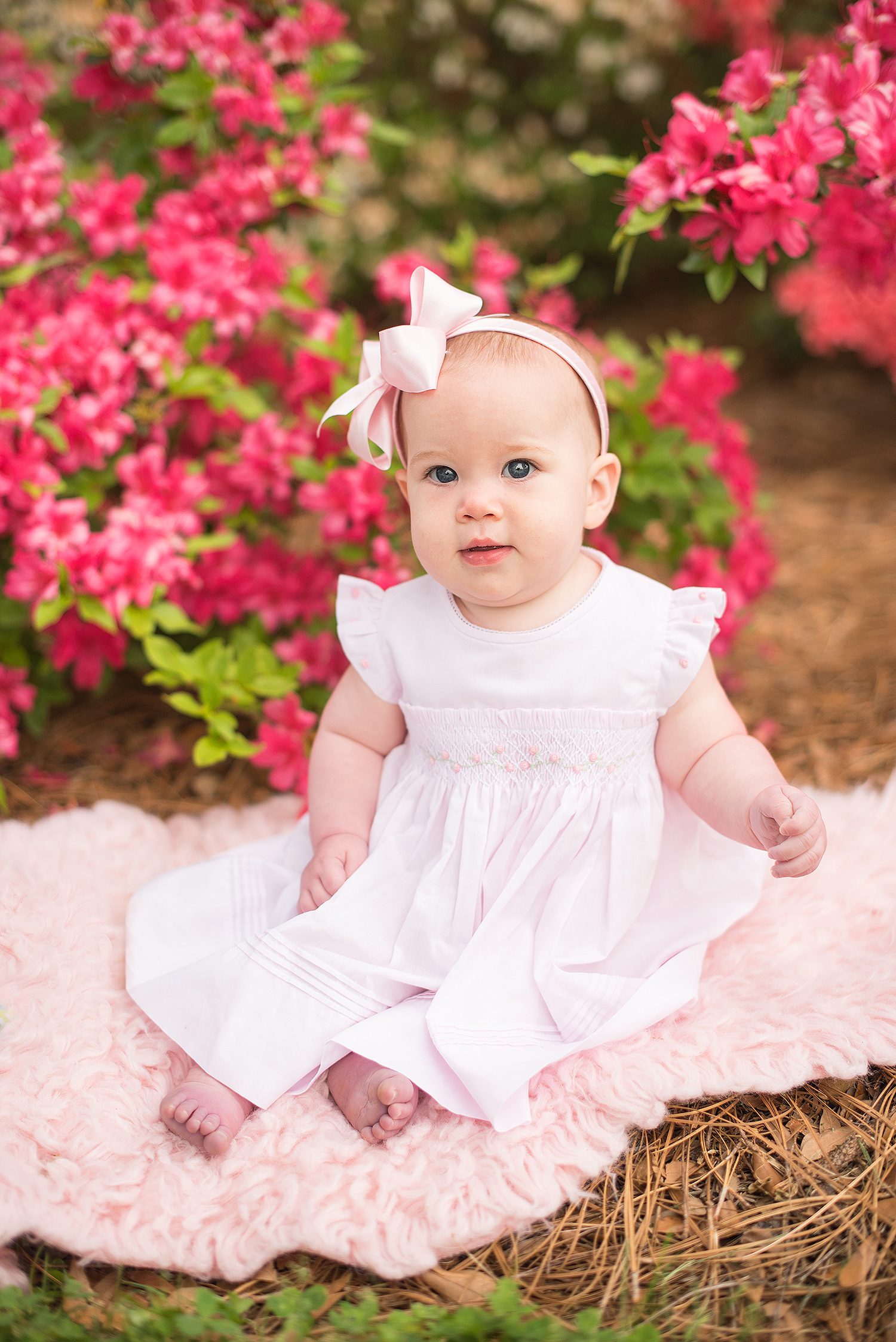 professional -6 -month - photos -lake -wylie -sc