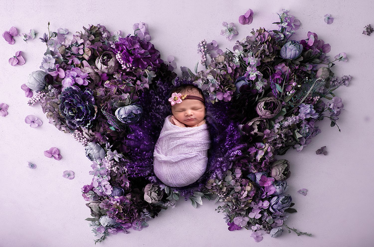 Charlotte -newborn -photographer