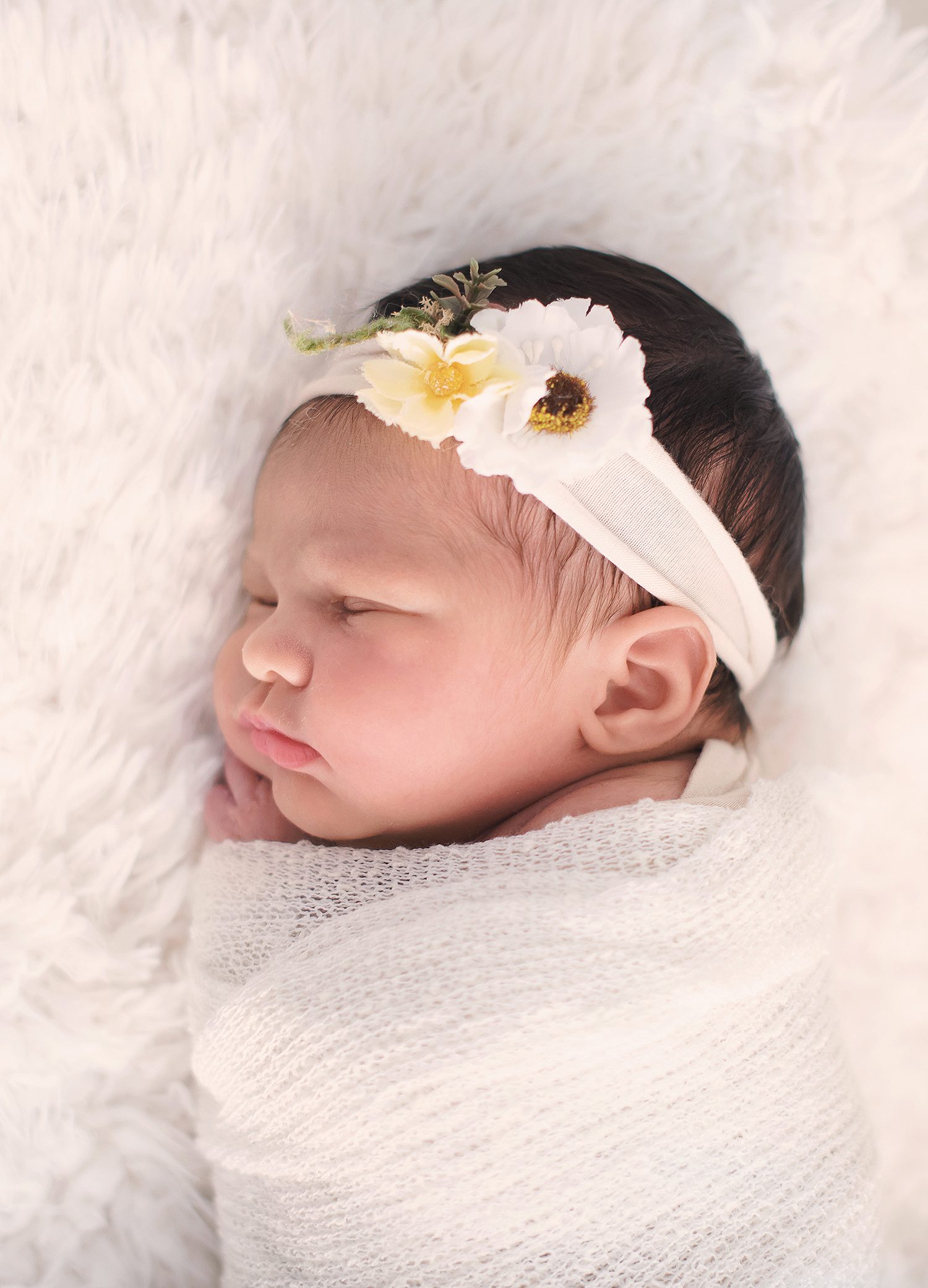 newborn -photography -charlotte -nc